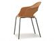 Colorful dining chairs Lady B 2696 in Living room