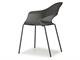 Colorful dining chairs Lady B 2696 in Living room