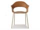 Colorful dining chairs Lady B 2696 in Living room