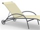 Sun lounger Park in Outdoor