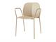 Design modernes Stuehle Mentha 2707 in Tag