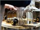 Blown glass lamp Sultan MC106 in Lighting