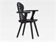 Tyrolean armchair with armrests Monaco in Living room