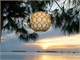 Lampadario Murano Galapagos ES449-035 in Illuminazione