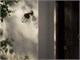 Vintage outdoor wall sconce AP 0336 in Lighting