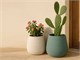 Bali Conchino design vases in Outdoor