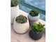 Vases design Bali Conchino in Extérieur