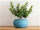 Designer pots Bali Ciotola in Outdoor