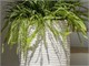 Tall outdoor pot Bali  in Outdoor
