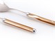 Salad cutlery Rodi in Accessories