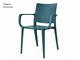 Polypropylene chairs Adelaide Arm - 55,5x52 cm in Outdoor