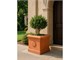 Cubo 010 with rosette terracotta pot in Outdoor