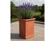 Tuscan smooth Pilone 034 terracotta pot in Outdoor