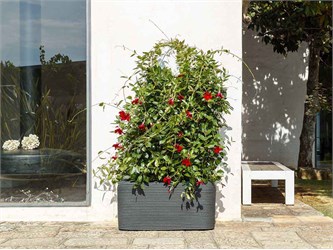 jardiniere rectangulaire dexterieur bali