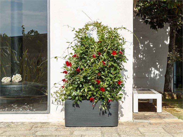 Rectangular outdoor planter Bali