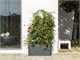 Rectangular outdoor planter Bali in Pots