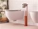 Toilettenpapierhalter und Toilettenbürste Small SM176 in Badzubehöre
