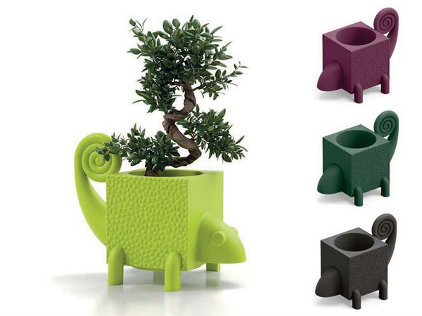 Modernes Design-Ablagefach Cama Fera