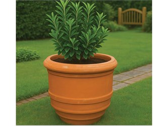 Vase à forme de baril lisse 013 vase en terre cuite