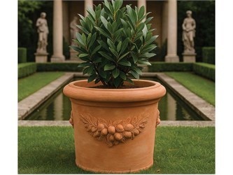 Vaso cilindro trequanda festonato in terracotta