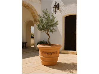 vaso imprunetino festonato