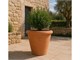 Smooth cylinder Montelupo terracotta pot  in Pots