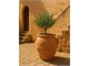 Vaso in terracotta Orcio toscano classico 020 in Vasi