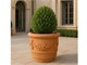 Festooned Barrel pot terracotta pot  in Pots
