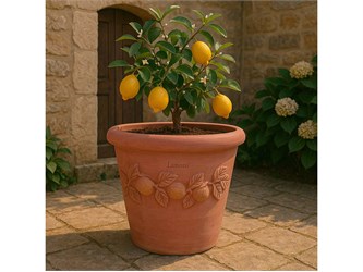 terracotta pot limoni tuscan po
