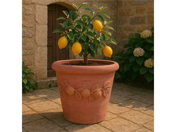 Vase Limoni Toscan vase en terre cuite