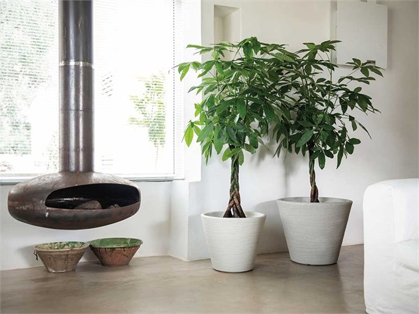 Vasi moderni rigati Shabby Madera