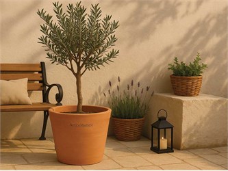 Round Terracotta Pot Moderne